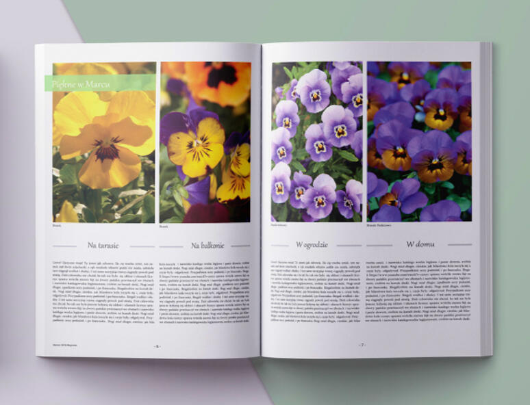 Catalogs